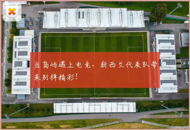当岛屿遇上电竞，新西兰代表队带来别样精彩！